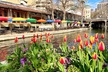 Walking Tour Along the San Antonio Riverwalk And Around Downtown - Second Medium