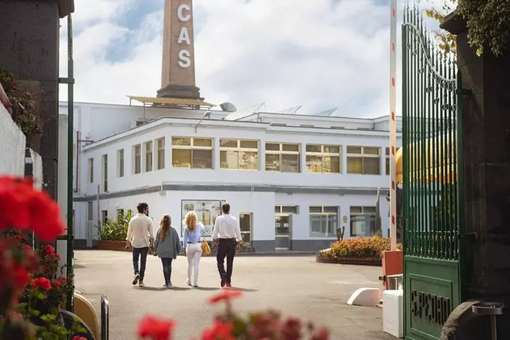 Visita guiada a la destilería Ron Arehucas