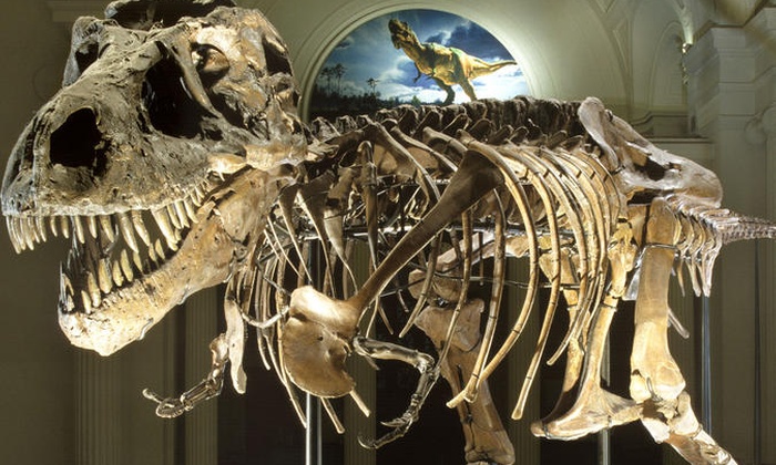 Field museum chicago coupons