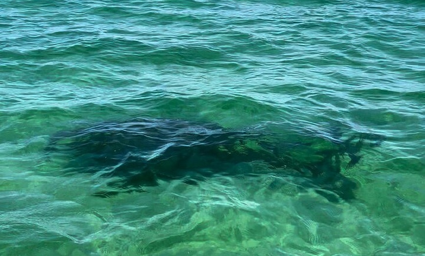 Image 28: Ultimate 10 Hour Jetski Adventure from Gold Coast to Tangalooma