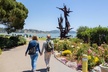Muir Woods & Sausalito (Return by Bus or Ferry) - Second Medium