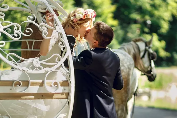 Romantic Proposal Carriage Tour in Central Park - Primary Image