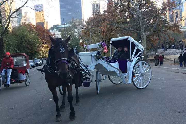 NYC Central Park Horse and Carriage Ride: Long Ride 45 min