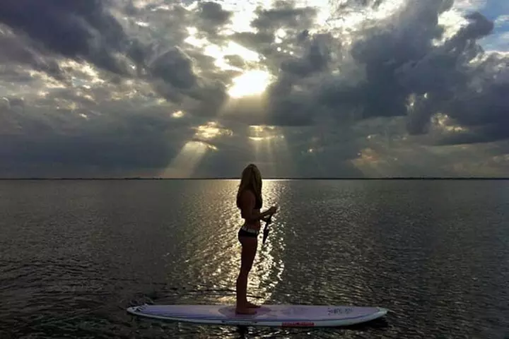 Sunset Bioluminescent Comb Jelly & Dolphin Tour