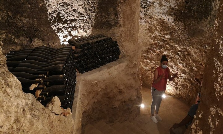 Image 5: Visita guiada a bodega y cata de vinos por el campo de Madrid