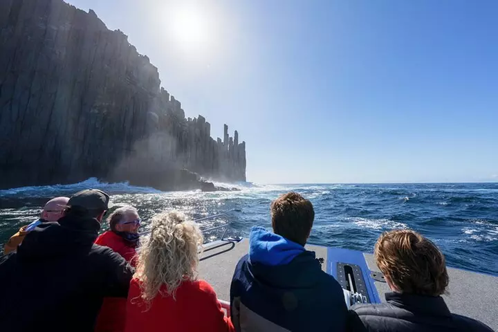 Cape Raoul Cruises Day Tour from Hobart - Image 7