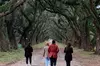 Whitney Plantation and Museum Tour from New Orleans