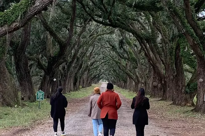 Whitney Plantation and Museum Tour from New Orleans