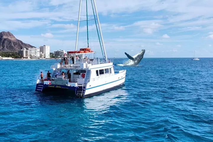 2 Hour Waikiki Whale Watching Cruise from Oahu - Primary Image