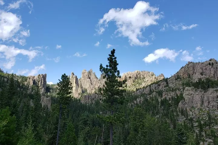 Private Tour of Mount Rushmore, Crazy Horse and Custer State Park