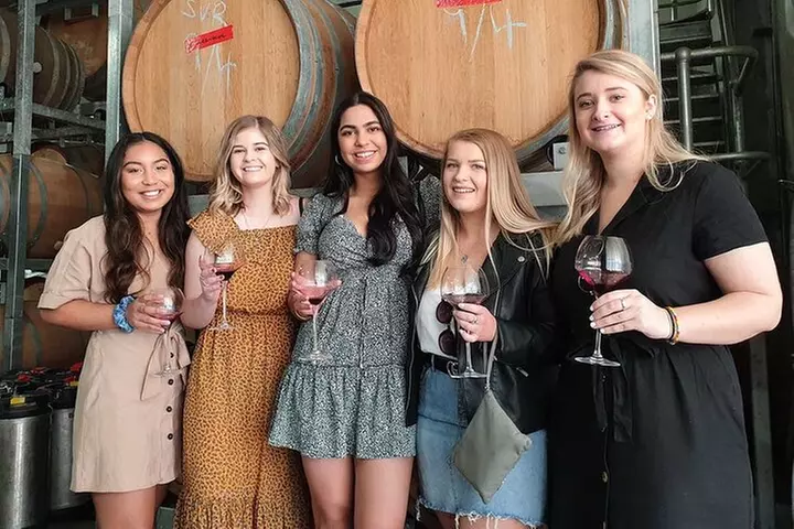 Hunter Valley Wine Tour from the Hunter with Wine Craft Beer Cheese...