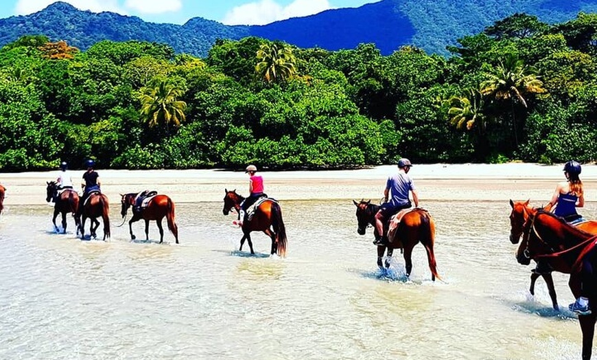 Image 3: Mid-Morning Beach Horse Ride in Cape Tribulation