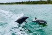 Half-Day Private Tiki Boat Beach Tour from Fort Myers - Second Medium