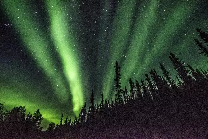 Arctic Circle and Northern Lights Tour from Fairbanks