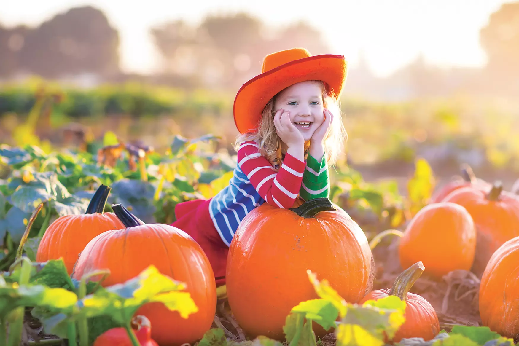 $24 for 4 Corn Maze Admissions ($48 Value) Valid Sept 29th-Oct 31st, 2023 - Primary Image