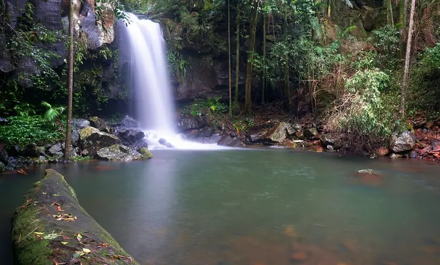 Image 1: Glow Worms - Nocturnal Rainforest/Waterfall Adventure