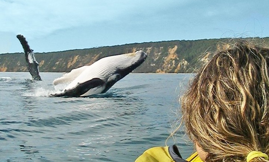 Image 10: Epic Rainbow Beach Dolphin Kayak and 4WD Adventure Tour