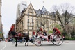 Horse Carriage Ride to/from Tavern On The Green (Up to 4 Adults) - Second Medium