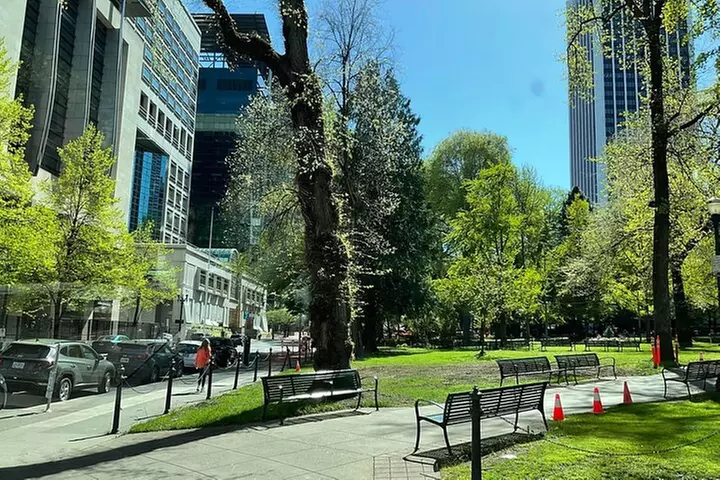 Portland City Tour: Views and News (Our Best Selling Tour!)
