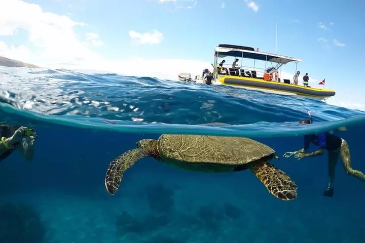 Ultimate 4 Hour Lanai Snorkel and Dolphin Encounter - Primary Image