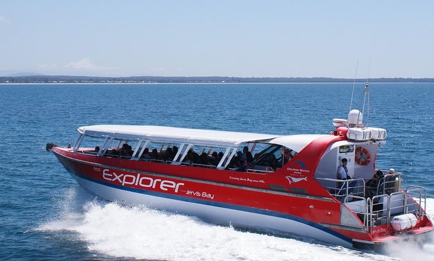 Image 3: Whale Watching Jervis Bay