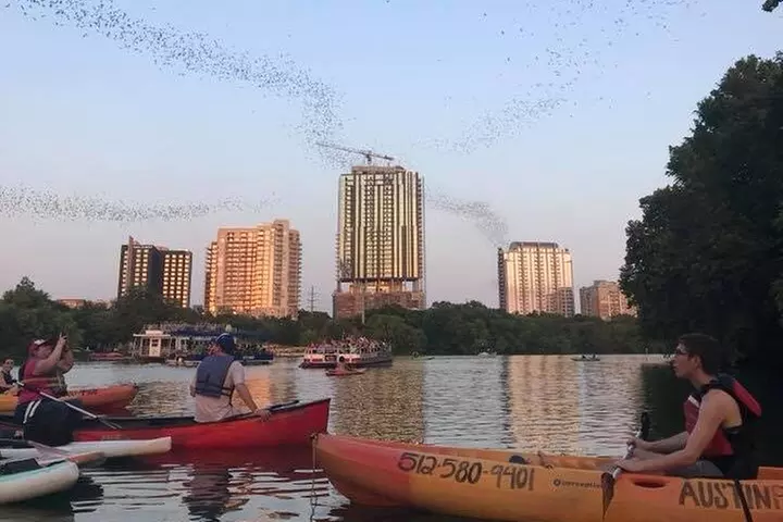 Congress Avenue Bat Bridge Kayak Tour in Austin