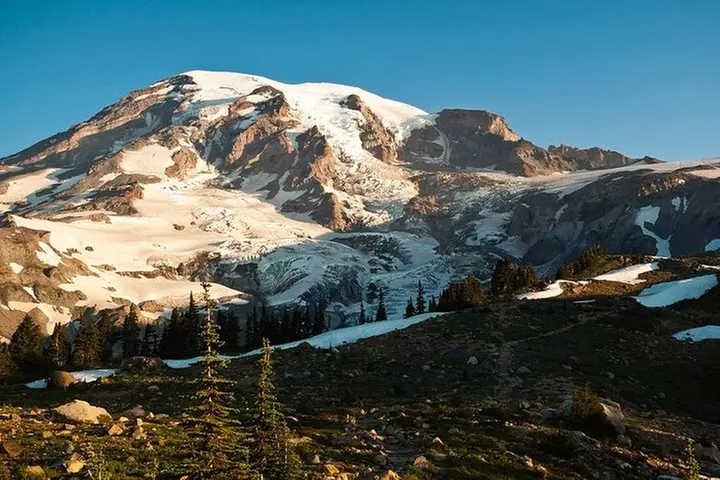 Best of Mount Rainier National Park from Seattle: All-Inclusive Sma...