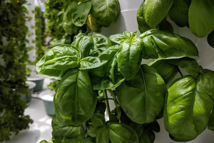 Denver RiNo Arts District Food Tour