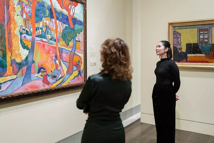 Museum of Fine Arts, Houston All Access Admission Ticket - Primary Image