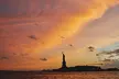 New York City Whale Watching and Wildlife Tour - Second Medium