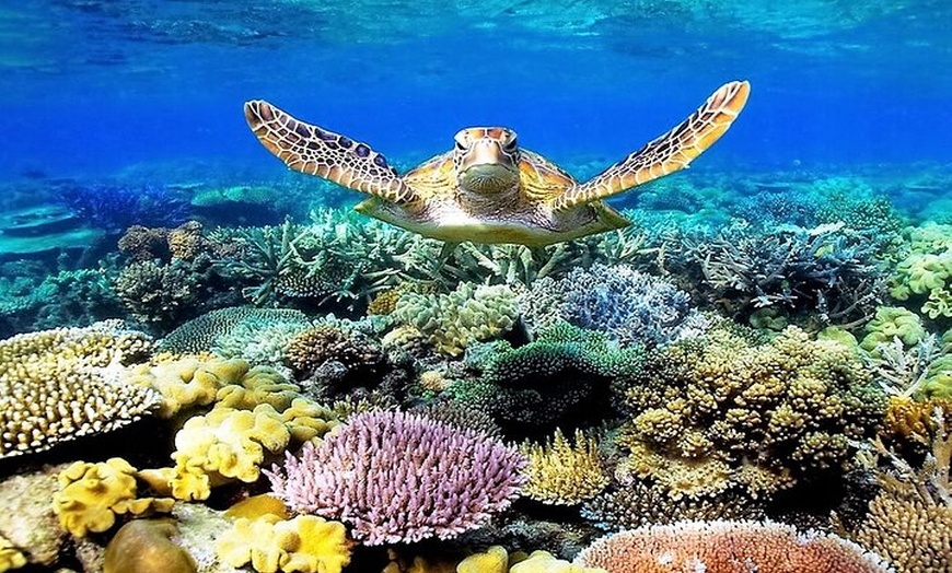 Image 3: Cairns Airport Transfers