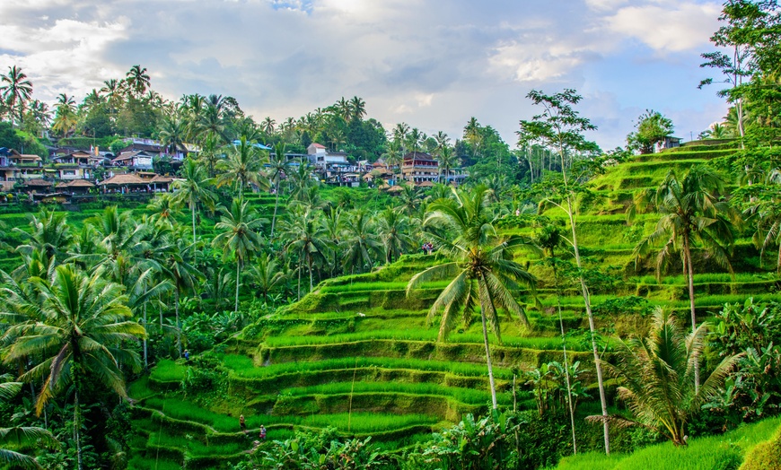 Image 2: ✈ INDONESIEN | Bali - Rundreise Bali & Badeverlängerung 6 Nächte - ...