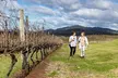 Scenic Hunter Valley Tour with Wine and Cheese Tastings - Image 4