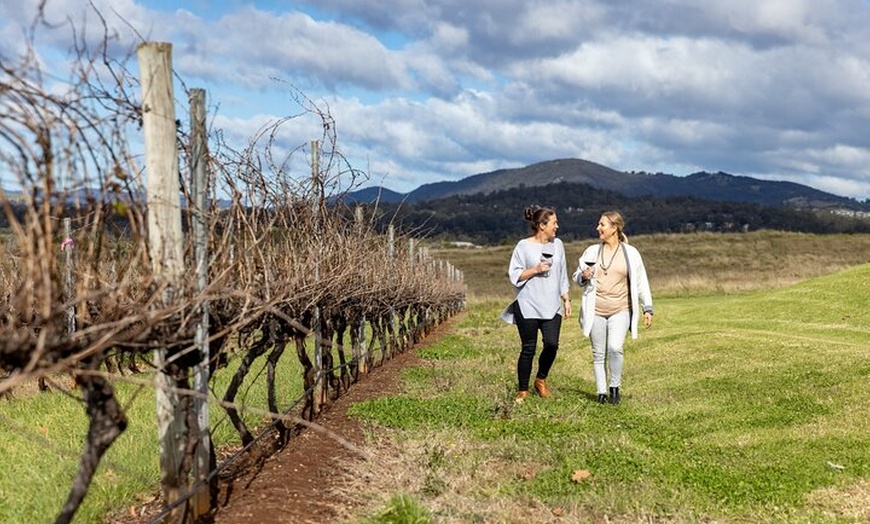 Image 4: Scenic Hunter Valley Tour with Wine and Cheese Tastings