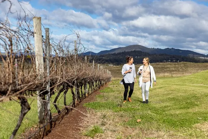 Scenic Hunter Valley Tour with Wine and Cheese Tastings