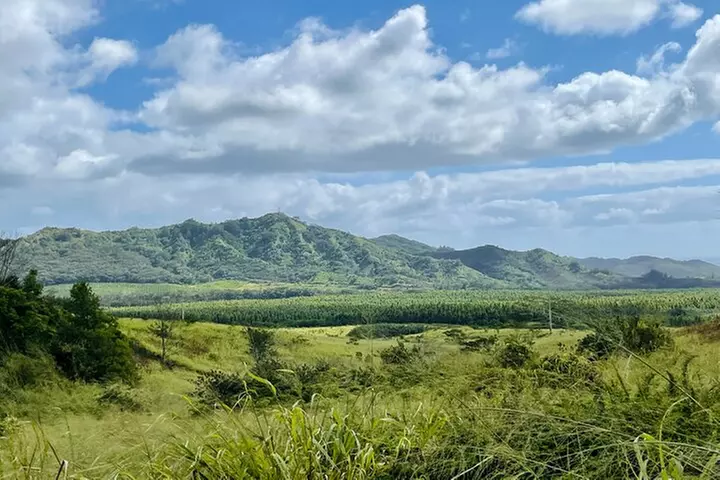 Shaka Zipline: 5 Line Zipline Tour (60 - 260 lbs)