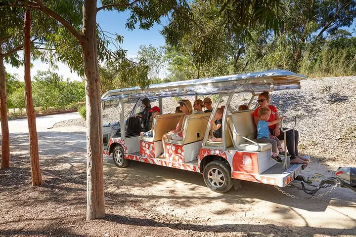 The Explorer - Cranbourne Gardens