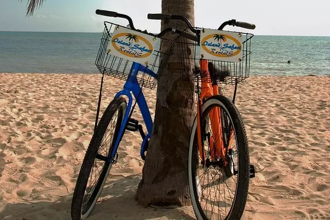 One Day Bike Rental in Key West - Primary Image