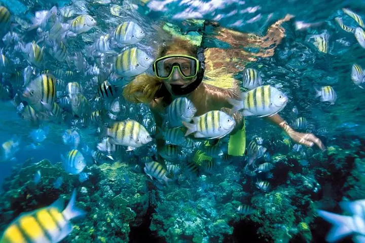 Top Sailing to Isla Mujeres with lunch and open bar from Cancun