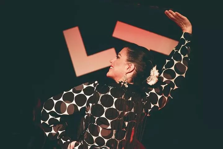 Visita guiada Segovia y Ávila y espectáculo flamenco en Madrid