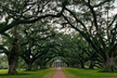 Oak Alley Plantation Tour with Transportation - Second Medium