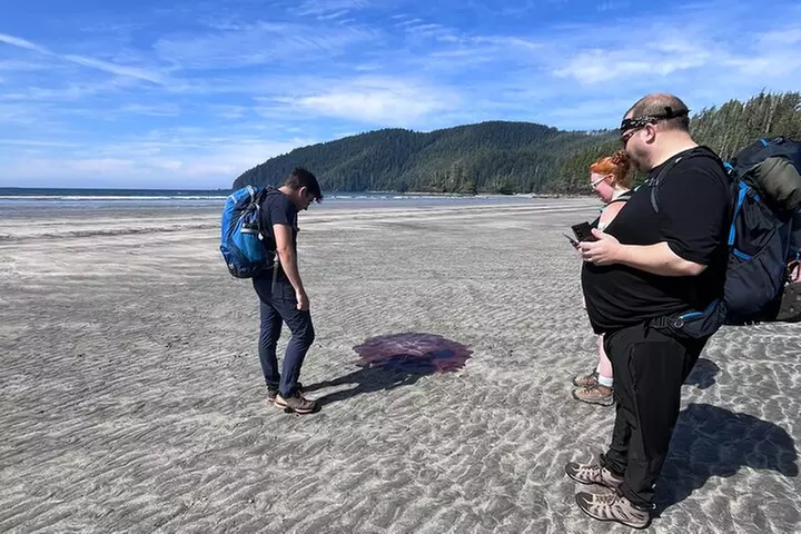 STUNNING San Josef Bay Tour in Cape Scott Provincial Park - Second Medium