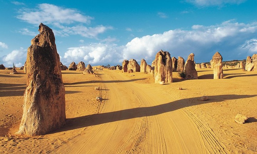 Image 1: Pinnacles Desert, Koalas and Sandboarding 4WD Day Tour from Perth