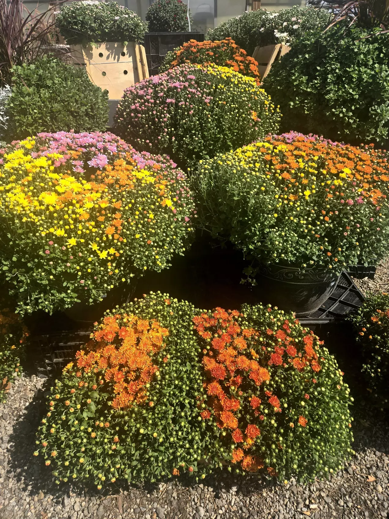 $20 For $40 Worth Of Goods & Services