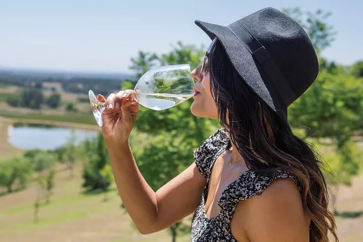 Scenic Hunter Valley Tour with Wine and Cheese Tastings