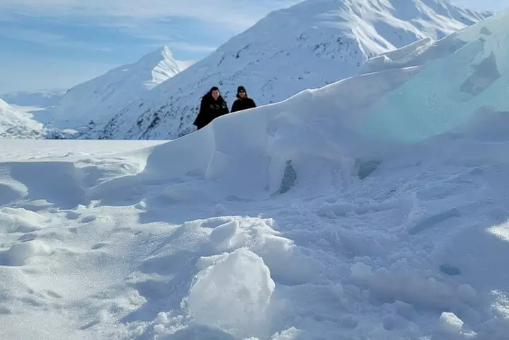 Wilderness, Wildlife, Glacier Experience from Anchorage