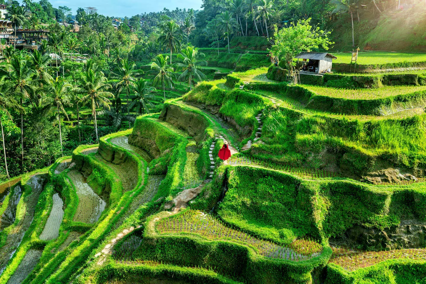 ✈ INDONESIA | Bali, Gili Air e Nusa Penida - I luoghi imperdibili d...