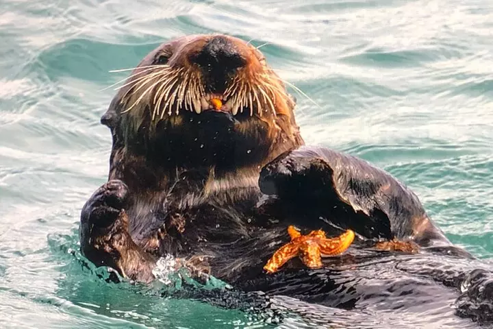 Private Walking Tour in Whittier AK