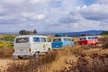 Temecula Wine Tour - The Ultimate California Experience - Second Medium