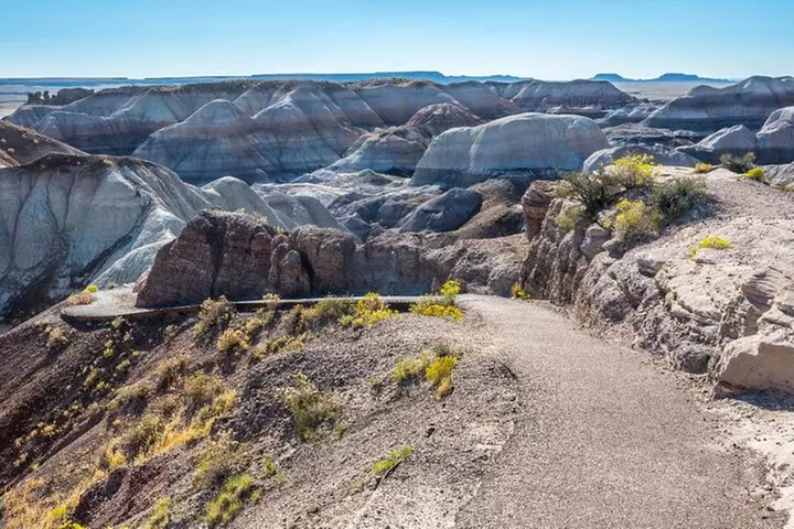 Petrified Forest National Park Self-Guided Driving Audio Tour